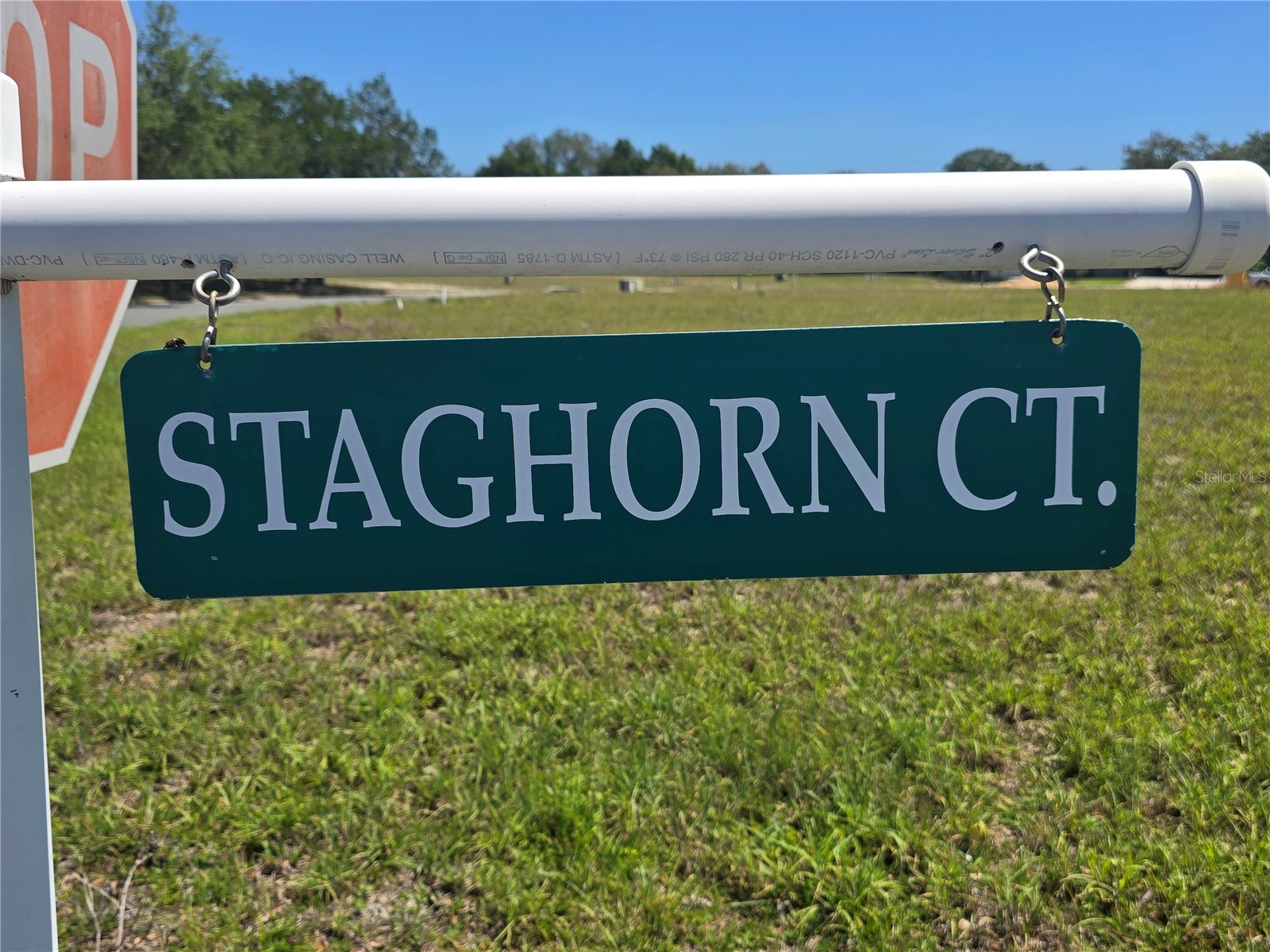 14025 Stag Horn Court Astatula FL 34705 O6400142 image43