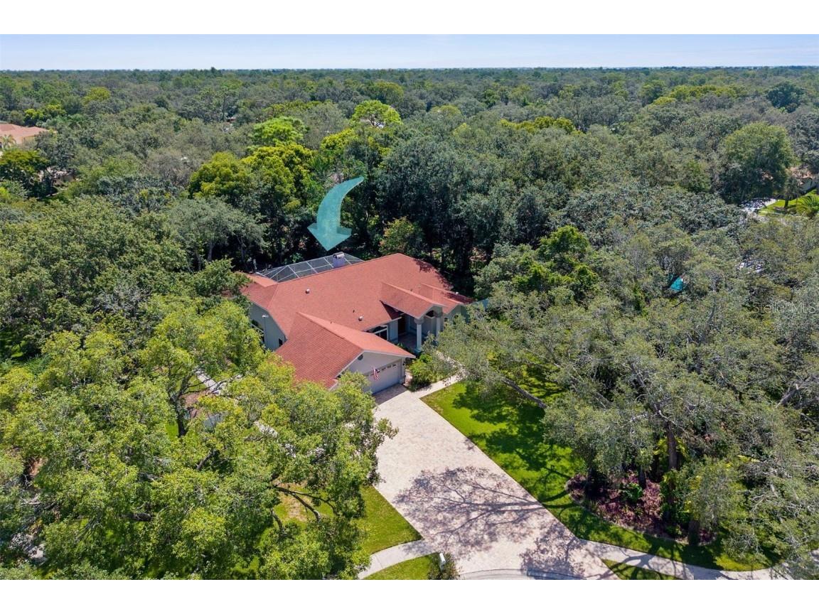 14025 Warm Springs Court Hudson FL 34667 W7877789 image3