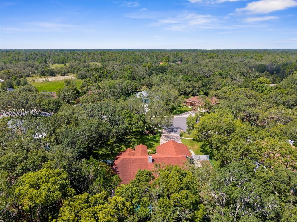 14025 Warm Springs Court Hudson FL 34667 W7877789 image57