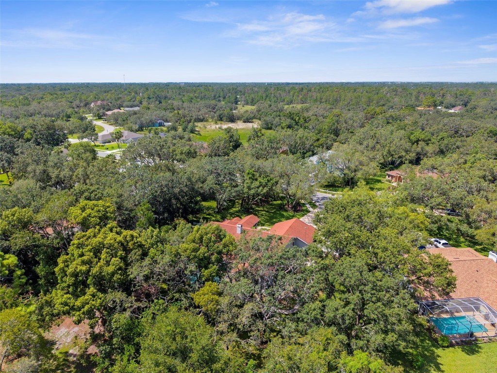 14025 Warm Springs Court Hudson FL 34667 W7877789 image58