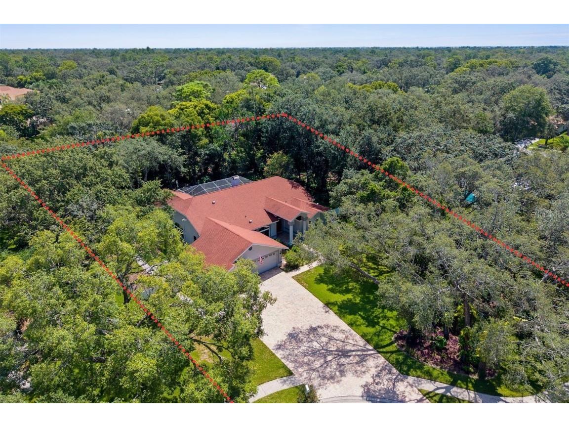 14025 Warm Springs Court Hudson FL 34667 W7877789 image60