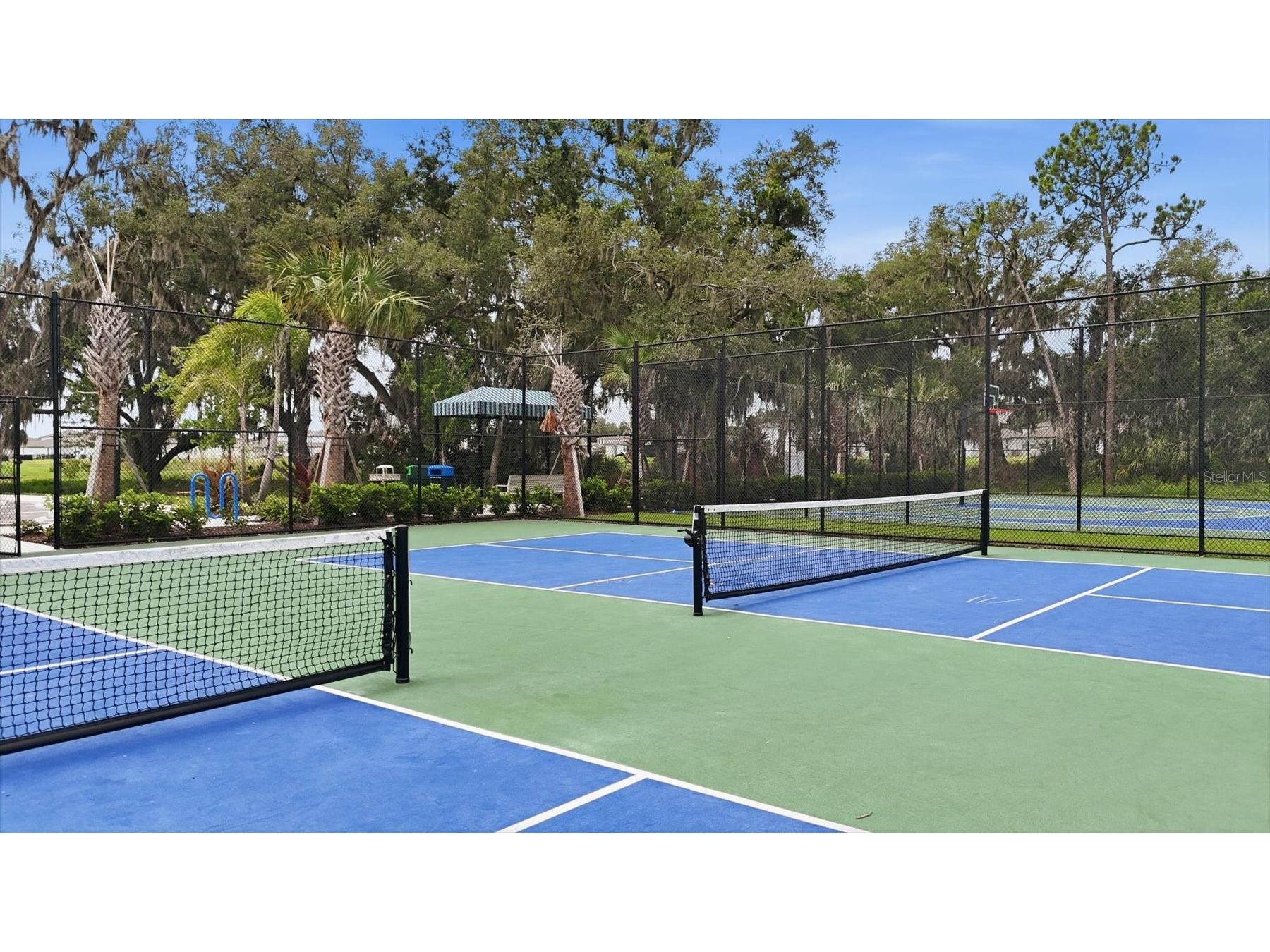 14026 Ginnie Springs Way Parrish FL 34219 A4695111 image71