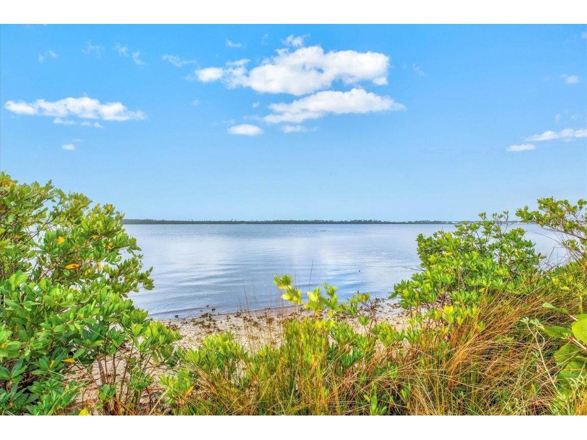 14026 Royal Pointe Drive Port Charlotte FL 33953 - MYAKKA RIVER D6144709 image48