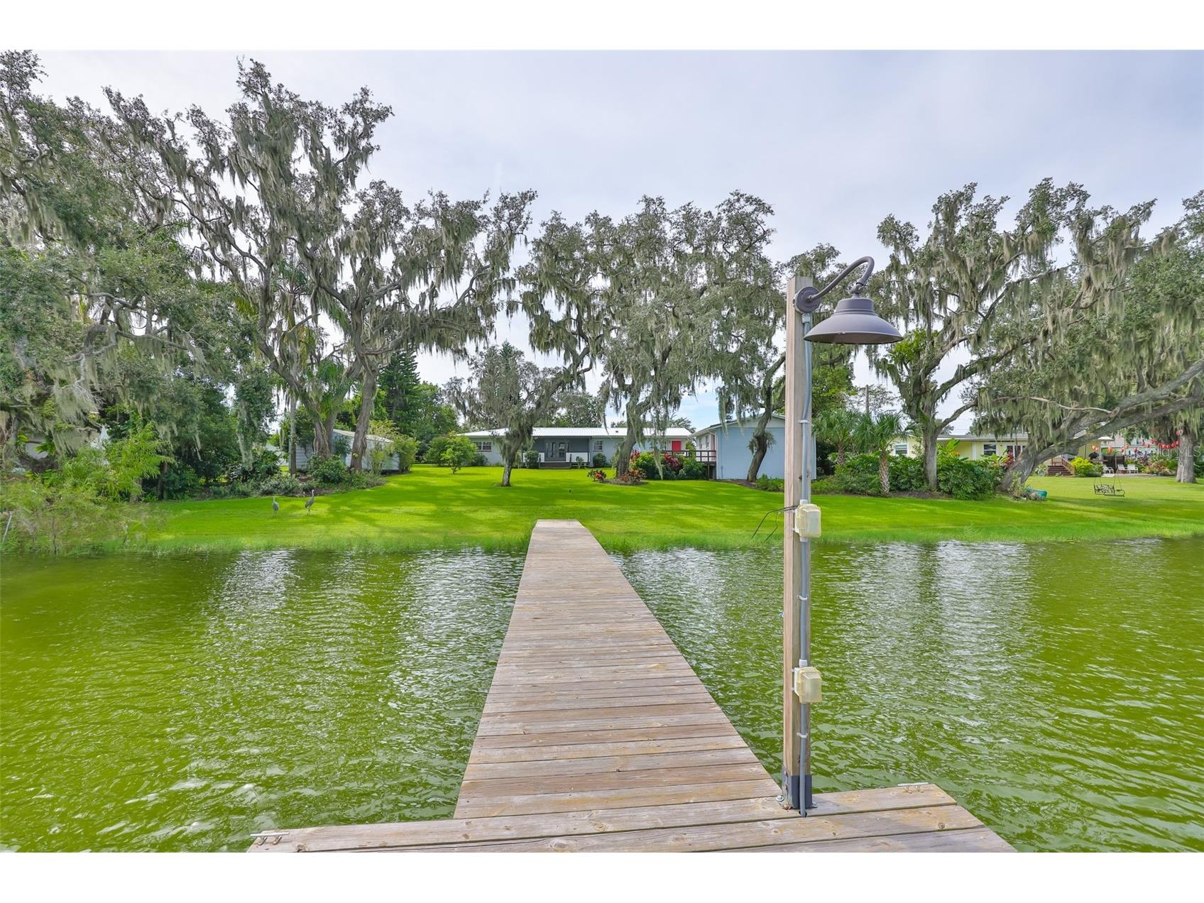 14028 Blackjack Road Dover FL 33527 - Moore Lake TB8427150 image2