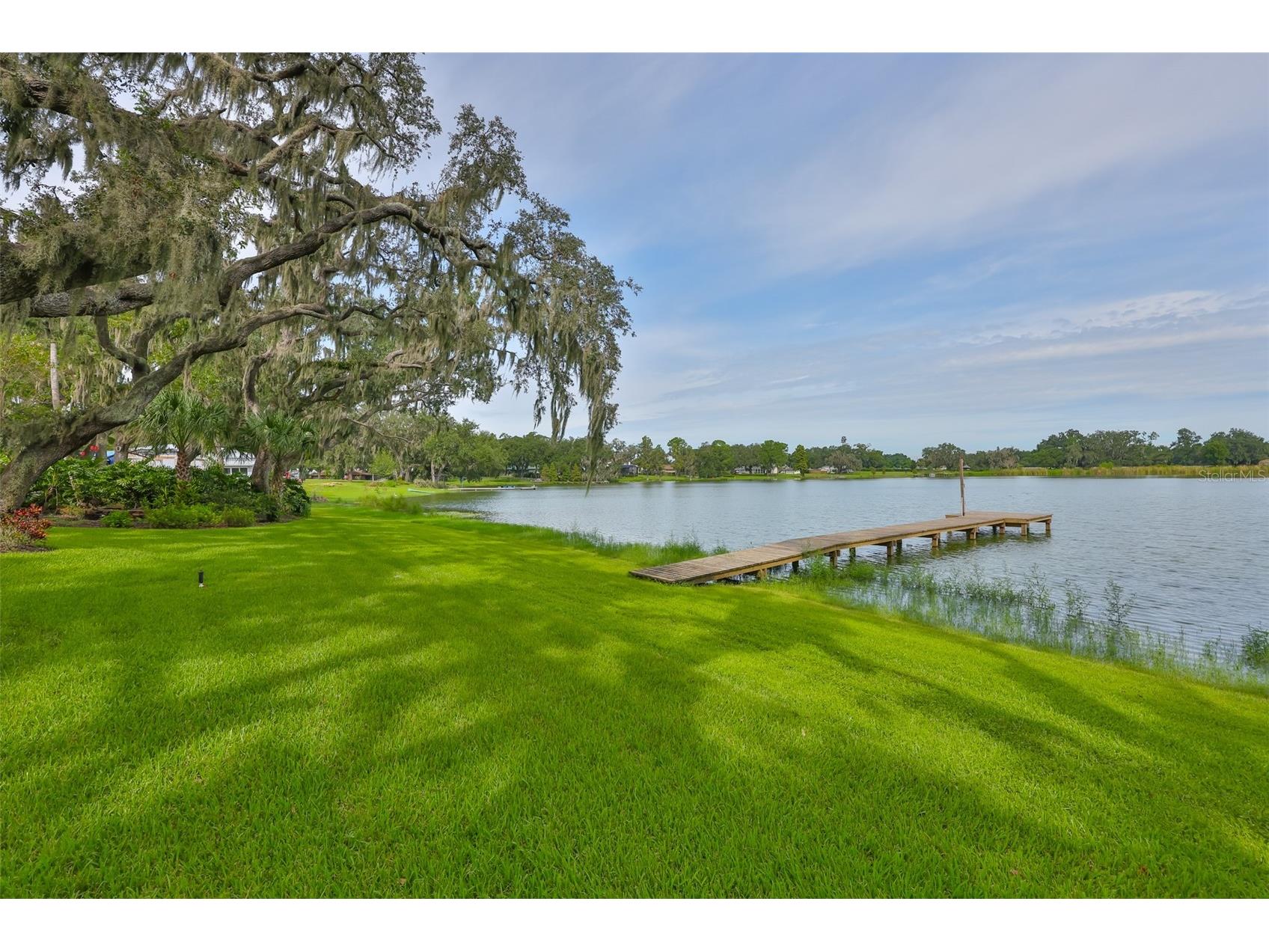 14028 Blackjack Road Dover FL 33527 - Moore Lake TB8427150 image39