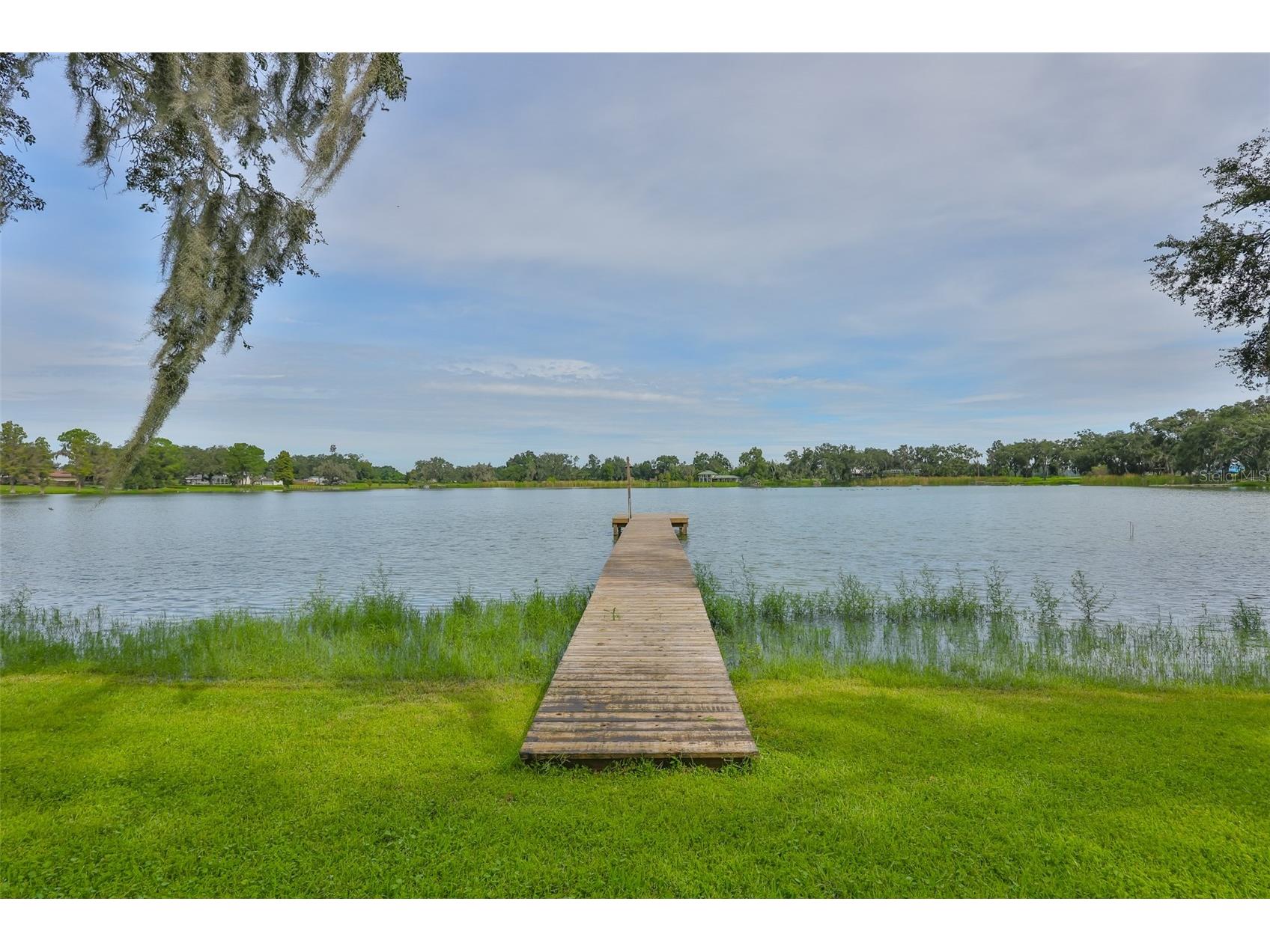 14028 Blackjack Road Dover FL 33527 - Moore Lake TB8427150 image40