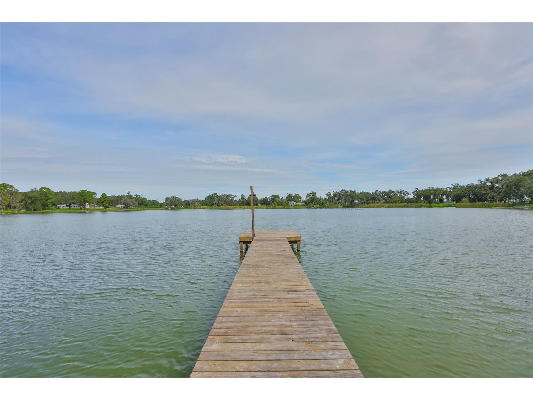 14028 Blackjack Road Dover FL 33527 - Moore Lake TB8427150 image41