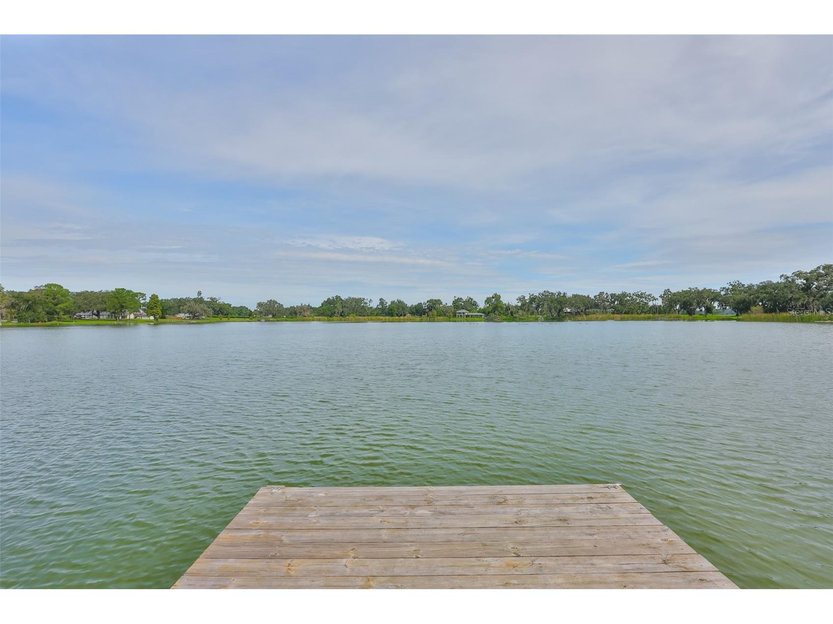 14028 Blackjack Road Dover FL 33527 - Moore Lake TB8427150 image55
