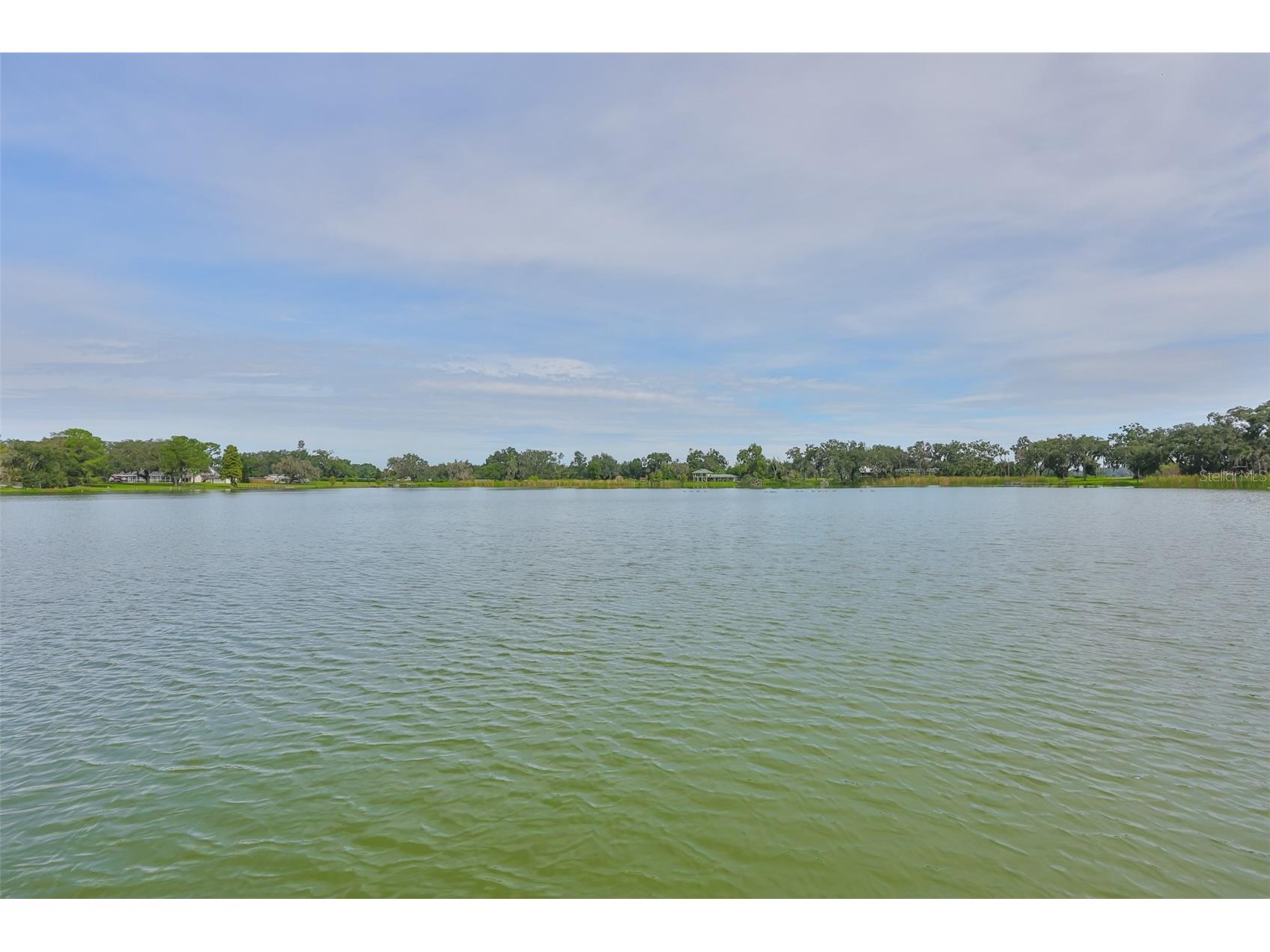 14028 Blackjack Road Dover FL 33527 - Moore Lake TB8427150 image56
