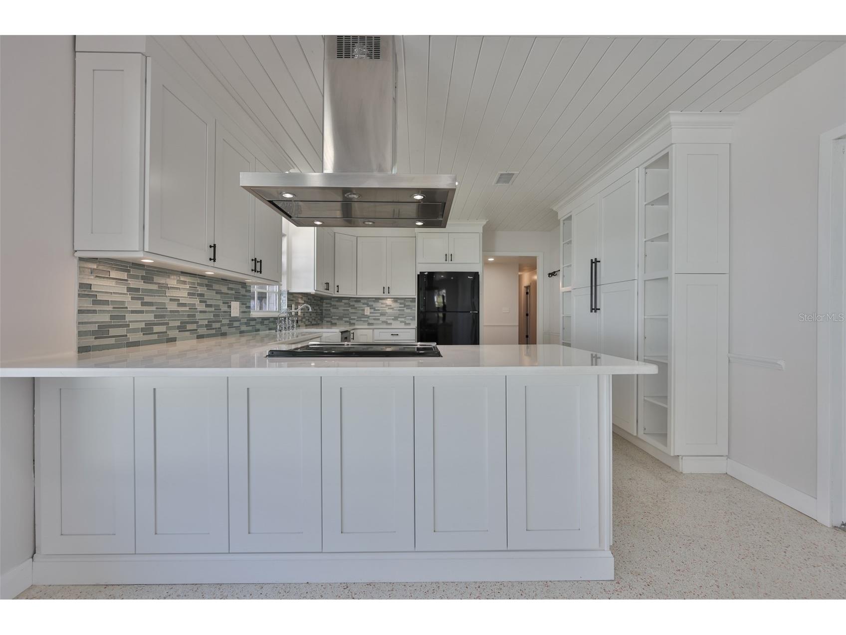 14028 Blackjack Road Dover FL 33527 - Moore Lake TB8427150 image6