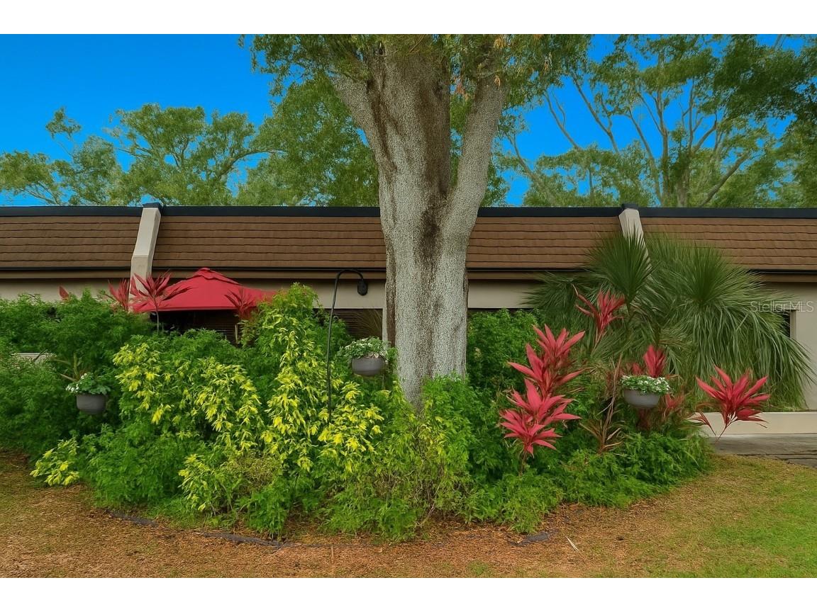 1403 Arrowhead Circle W #13E Clearwater FL 33759 TB8453741 image27