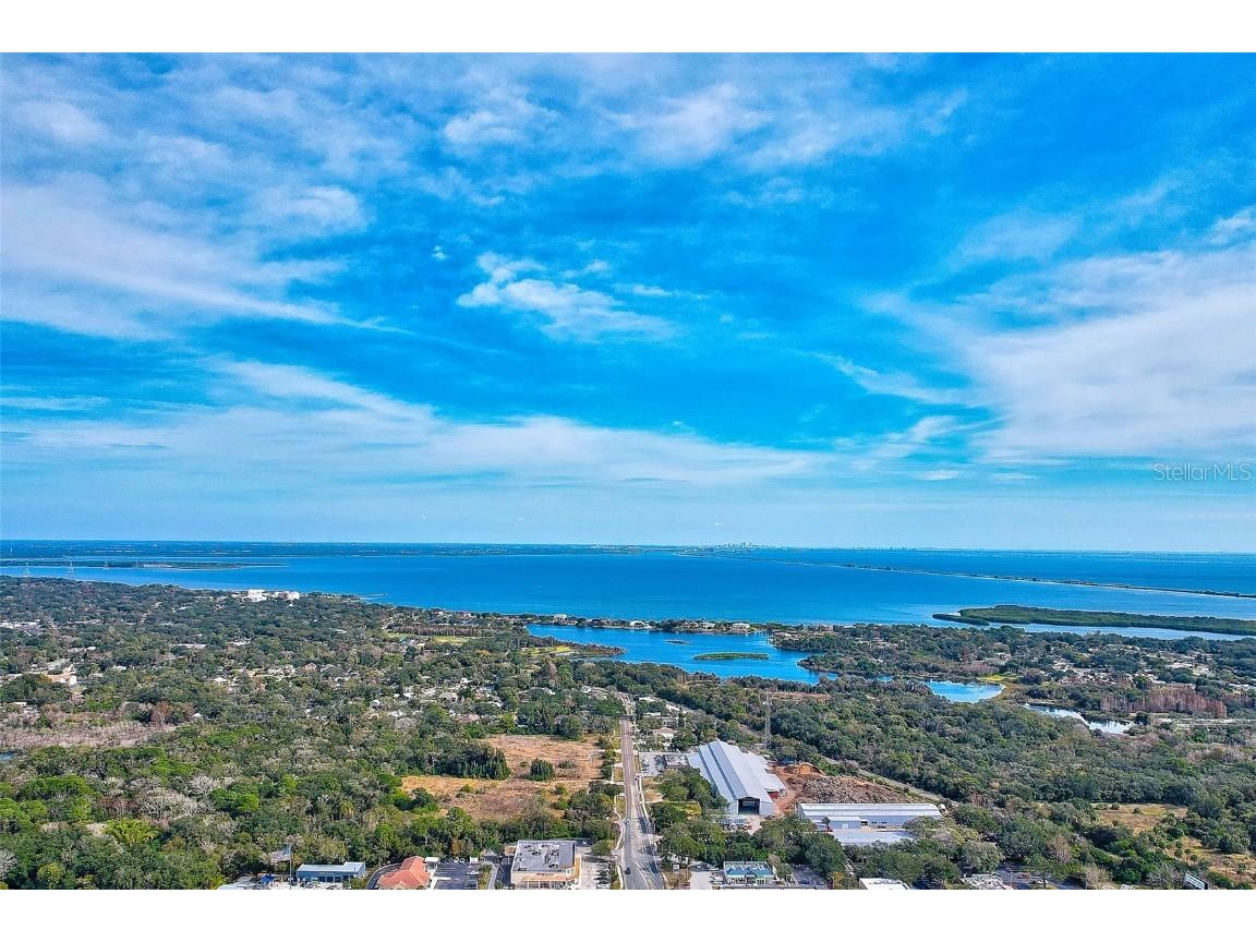 1403 Arrowhead Circle W #13E Clearwater FL 33759 TB8453741 image39