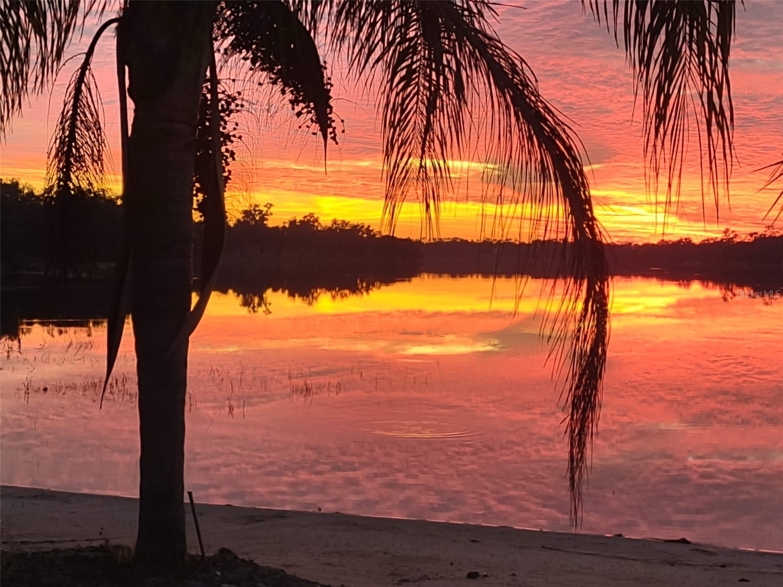 1403 Blackwelder Road De Leon Springs FL 32130 - LAKE WINONA V4948610 image13