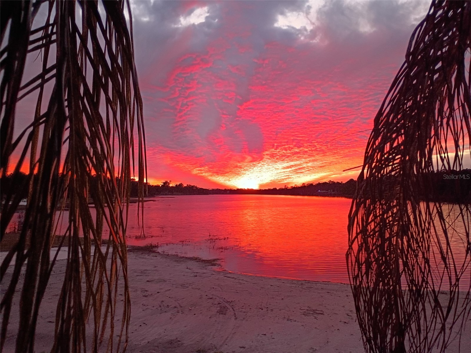 1403 Blackwelder Road De Leon Springs FL 32130 - LAKE WINONA V4948610 image14
