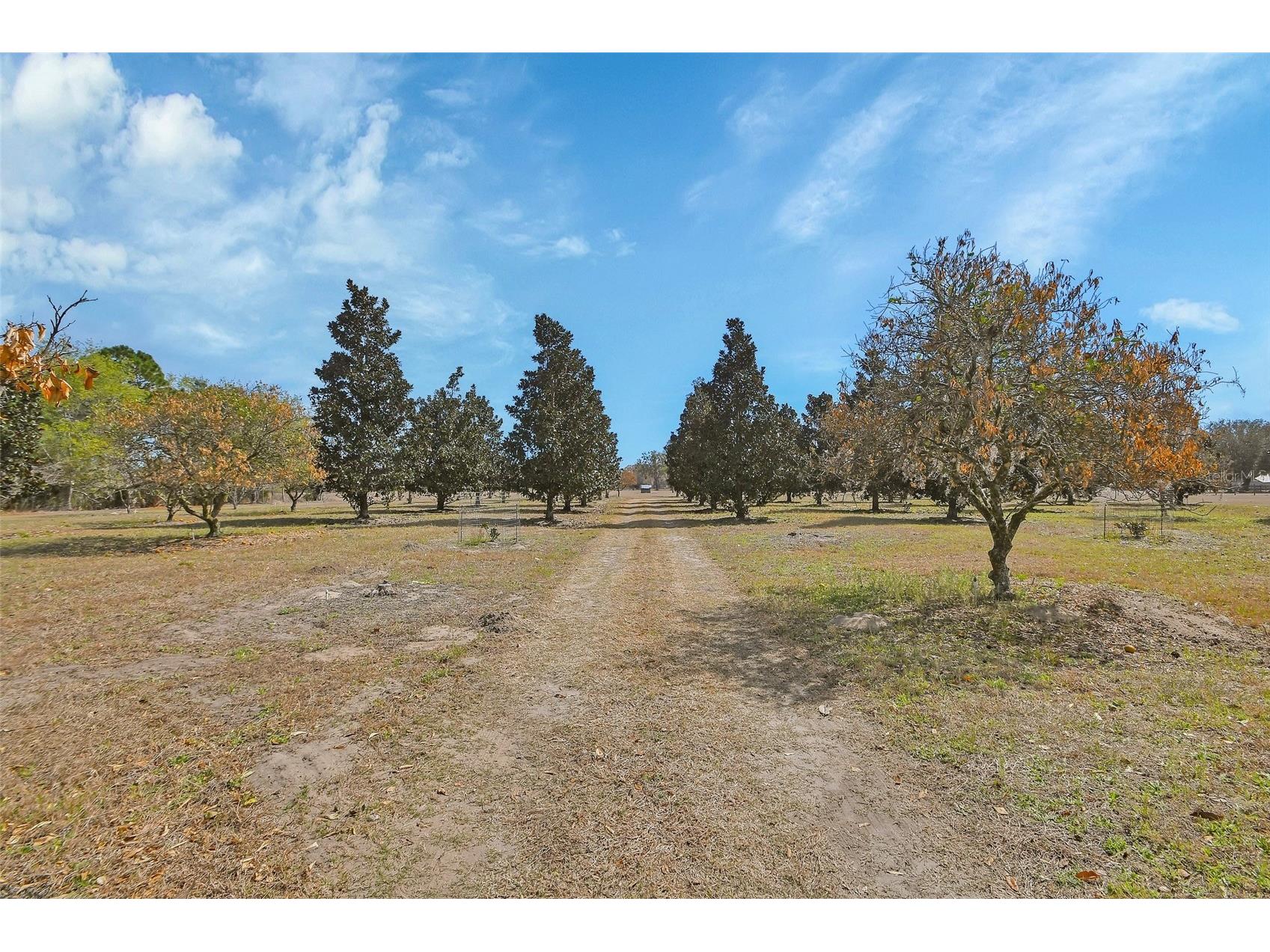 1403 Blackwelder Road De Leon Springs FL 32130 - LAKE WINONA V4948610 image49