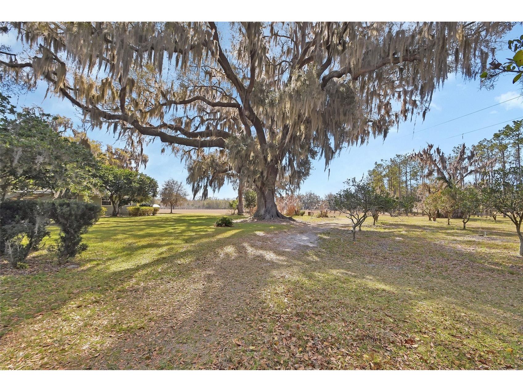 1403 Blackwelder Road De Leon Springs FL 32130 - LAKE WINONA V4948610 image8