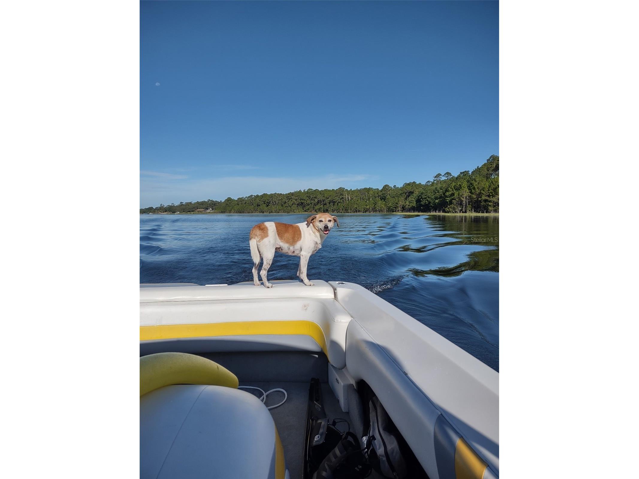 1403 Blackwelder Road De Leon Springs FL 32130 - LAKE WINONA V4948610 image84