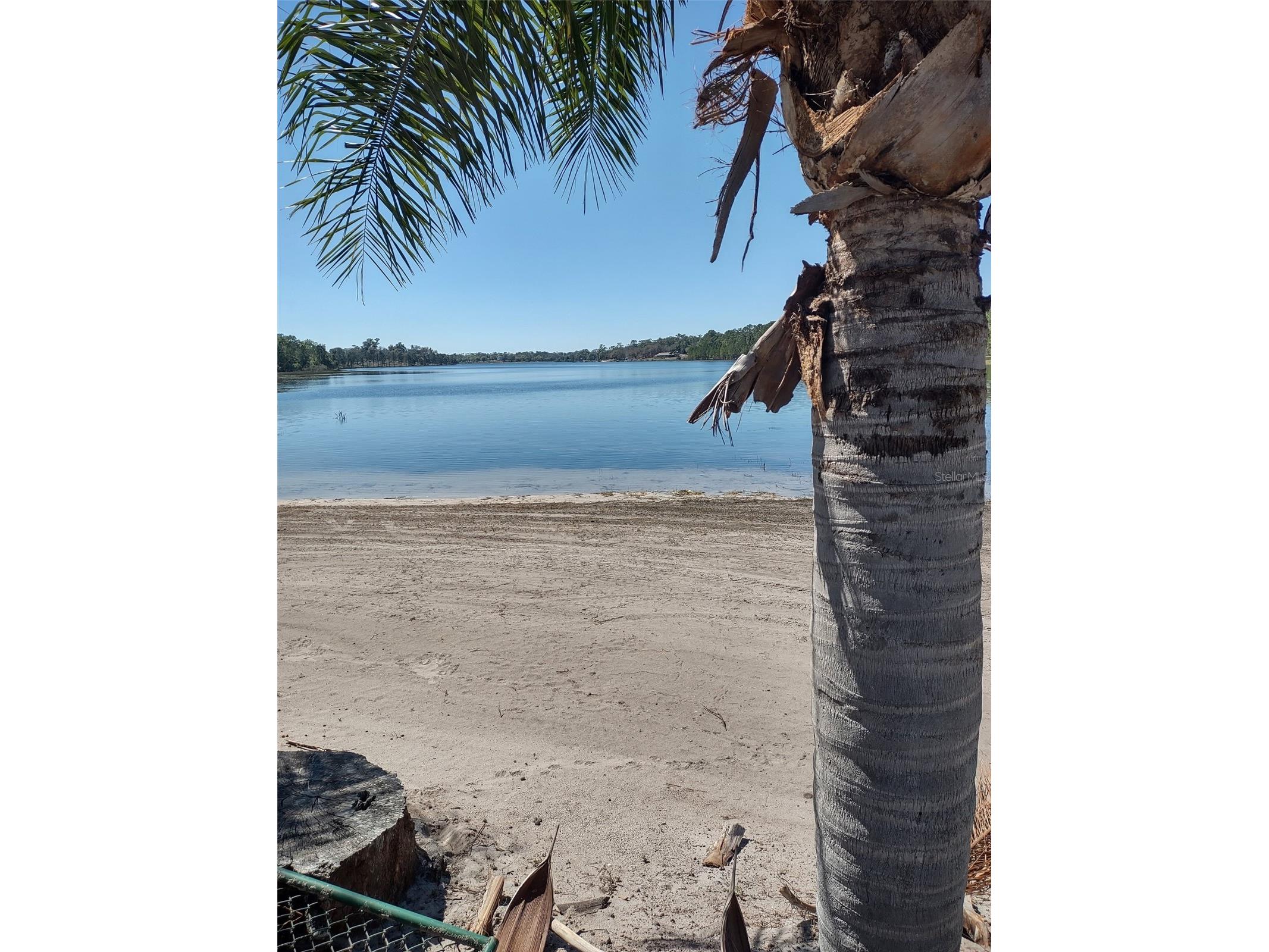 1403 Blackwelder Road De Leon Springs FL 32130 - LAKE WINONA V4948610 image89