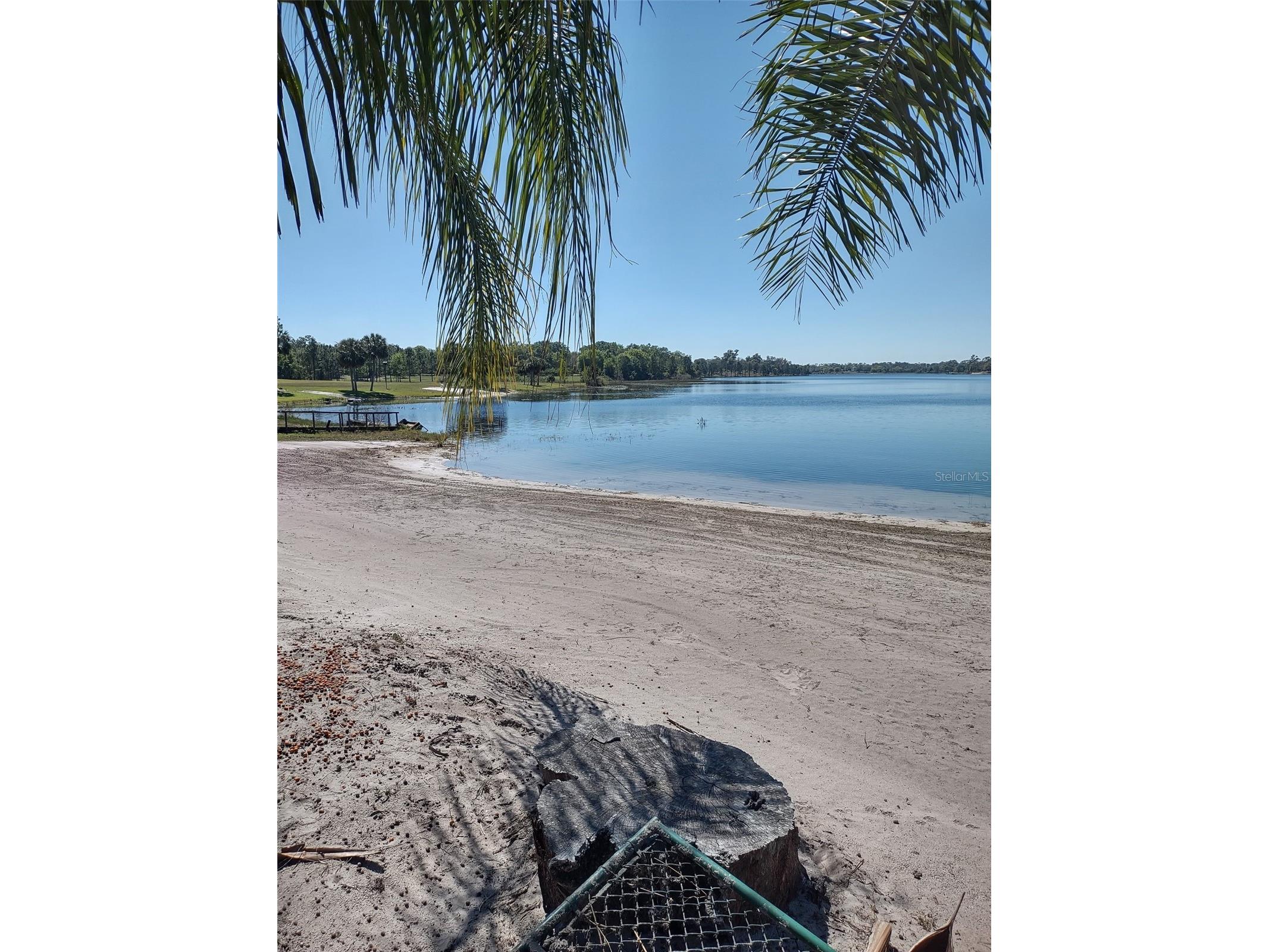 1403 Blackwelder Road De Leon Springs FL 32130 - LAKE WINONA V4948610 image91