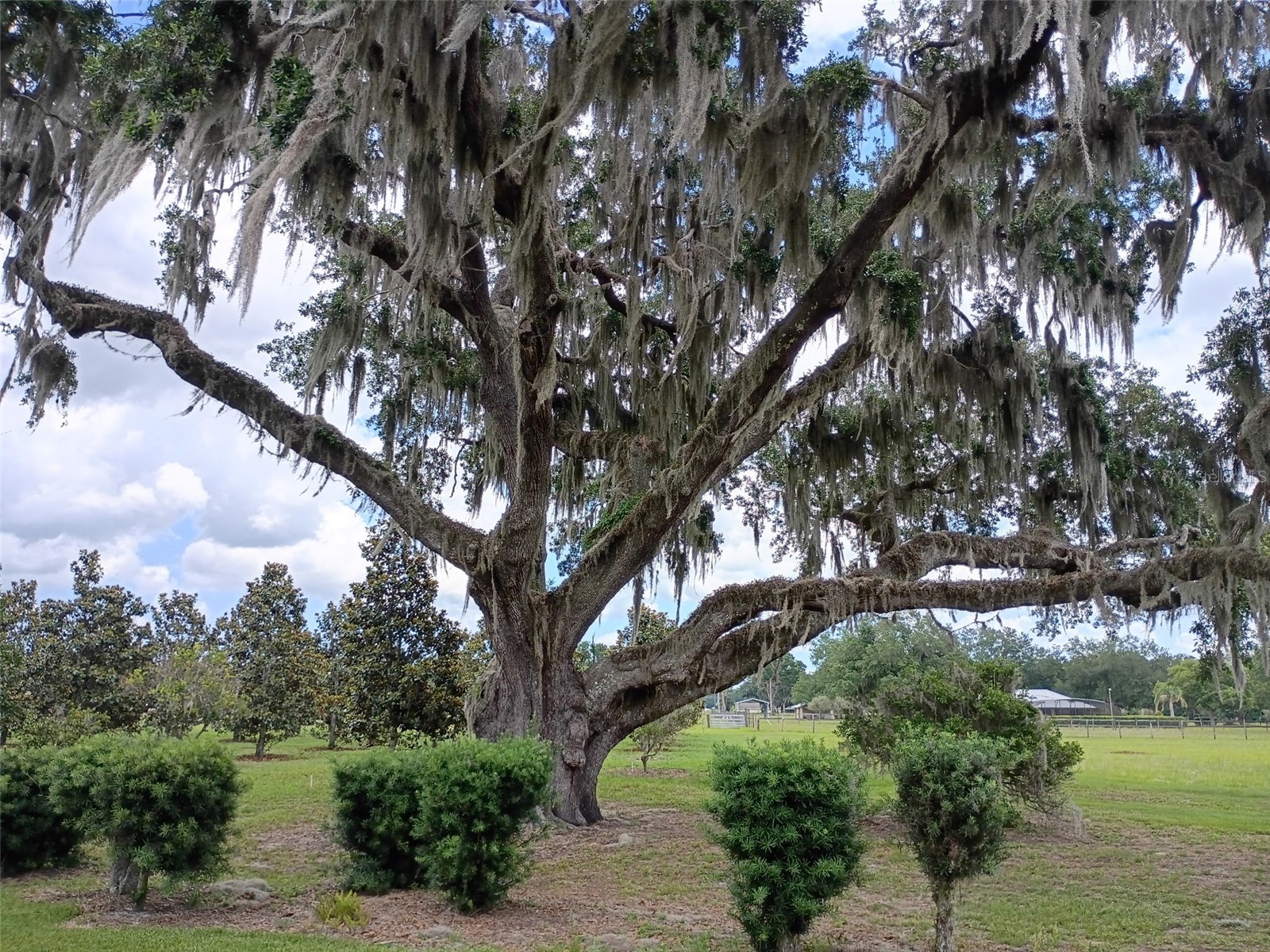 1403 Blackwelder Road De Leon Springs FL 32130 - LAKE WINONA V4948610 image93