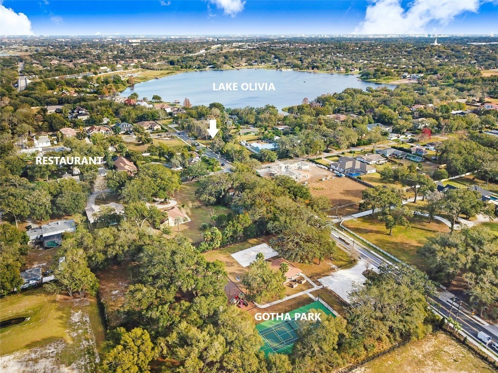 1403 Dingens Avenue Windermere FL 34786 O6084966 image1