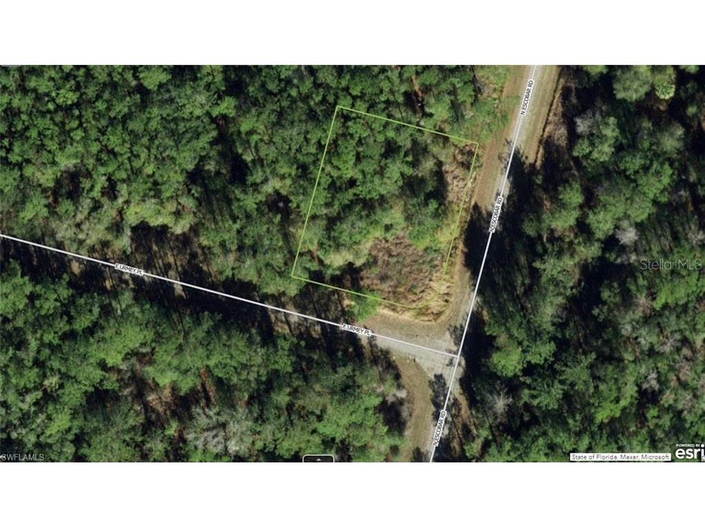 1403 E Urmey Place Dunnellon FL 34434 J985249 image1