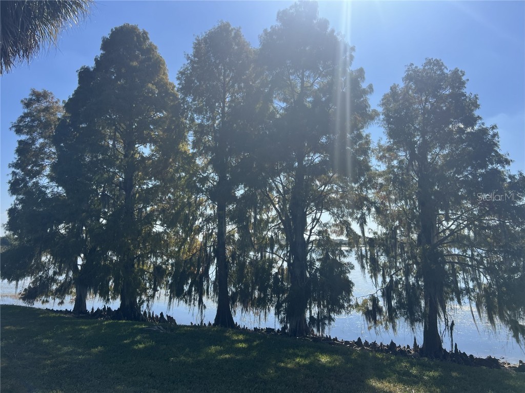 1403 Fern Place Lakeland FL 33801 TB8451317 image82