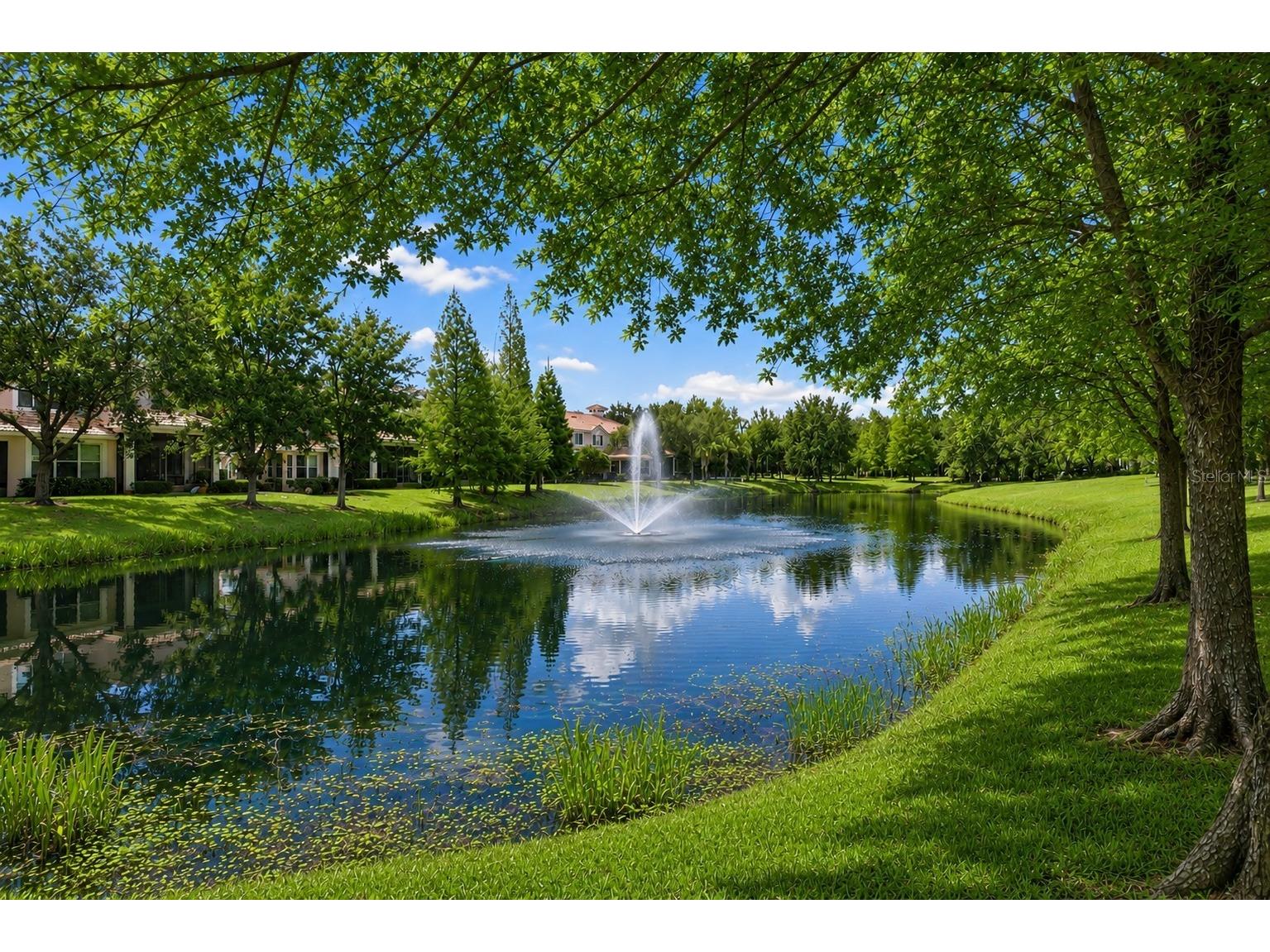 1403 Milledge Lane #10262 Davenport FL 33896 S5151037 image47