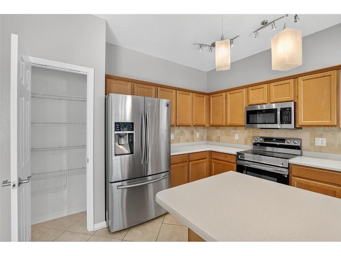 1403 Rushgrove Circle Dover FL 33527 TB8451977 image31