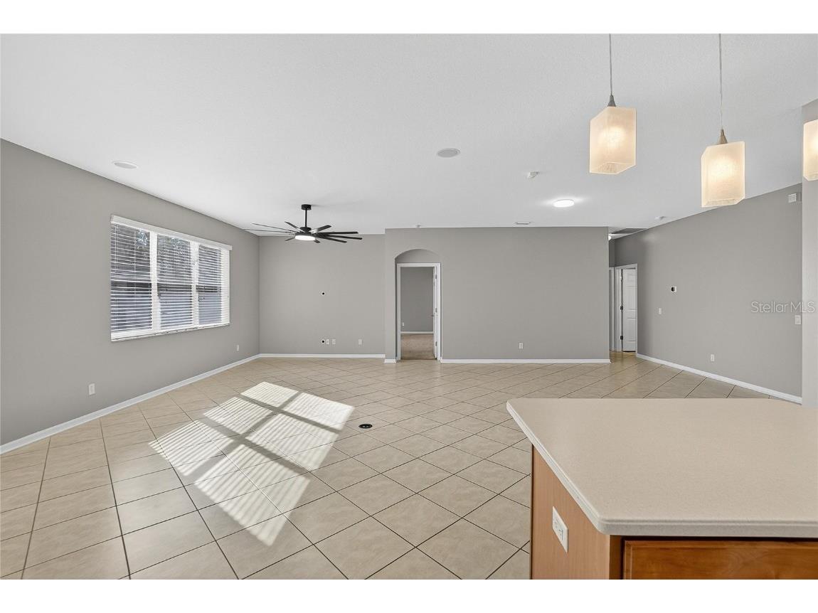 1403 Rushgrove Circle Dover FL 33527 TB8451977 image33