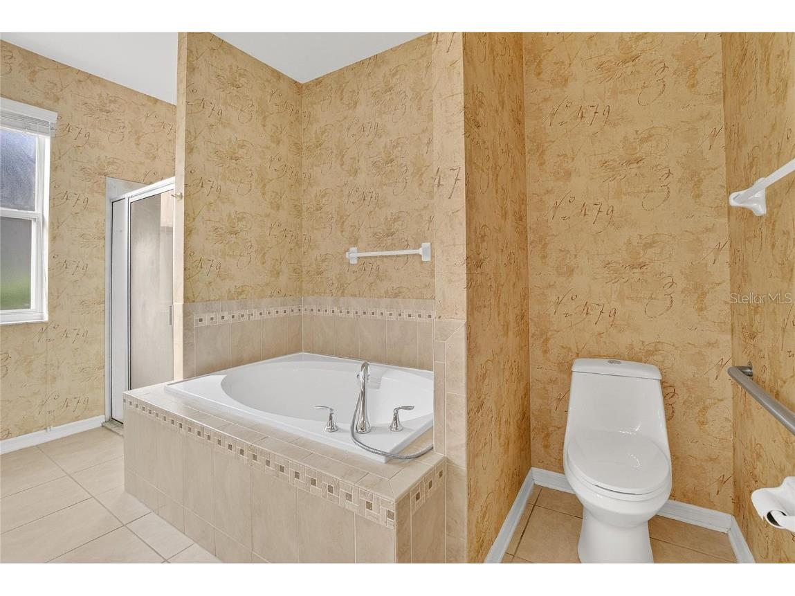 1403 Rushgrove Circle Dover FL 33527 TB8451977 image39