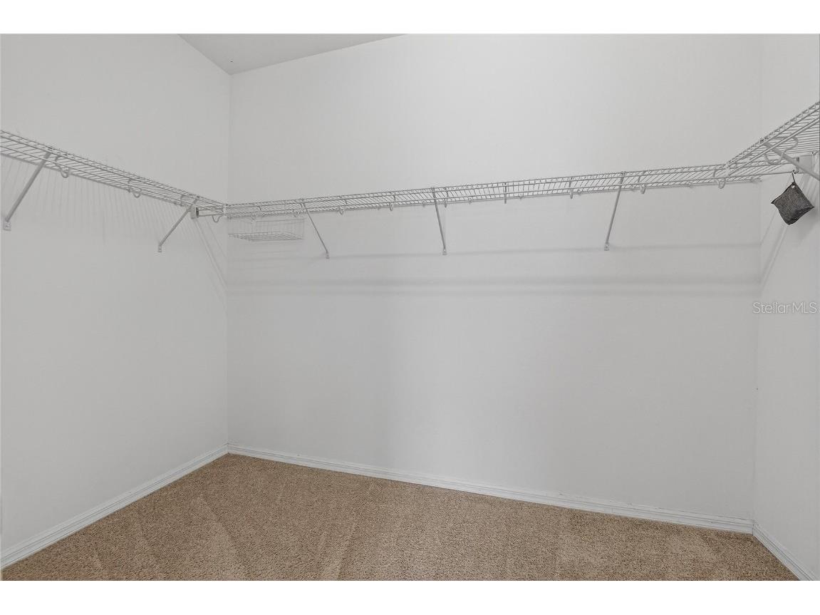 1403 Rushgrove Circle Dover FL 33527 TB8451977 image40