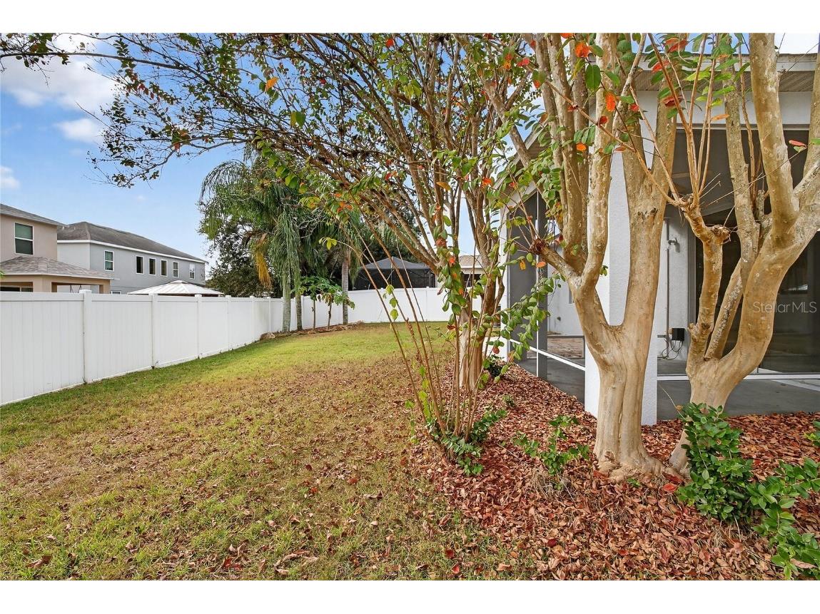 1403 Rushgrove Circle Dover FL 33527 TB8451977 image54