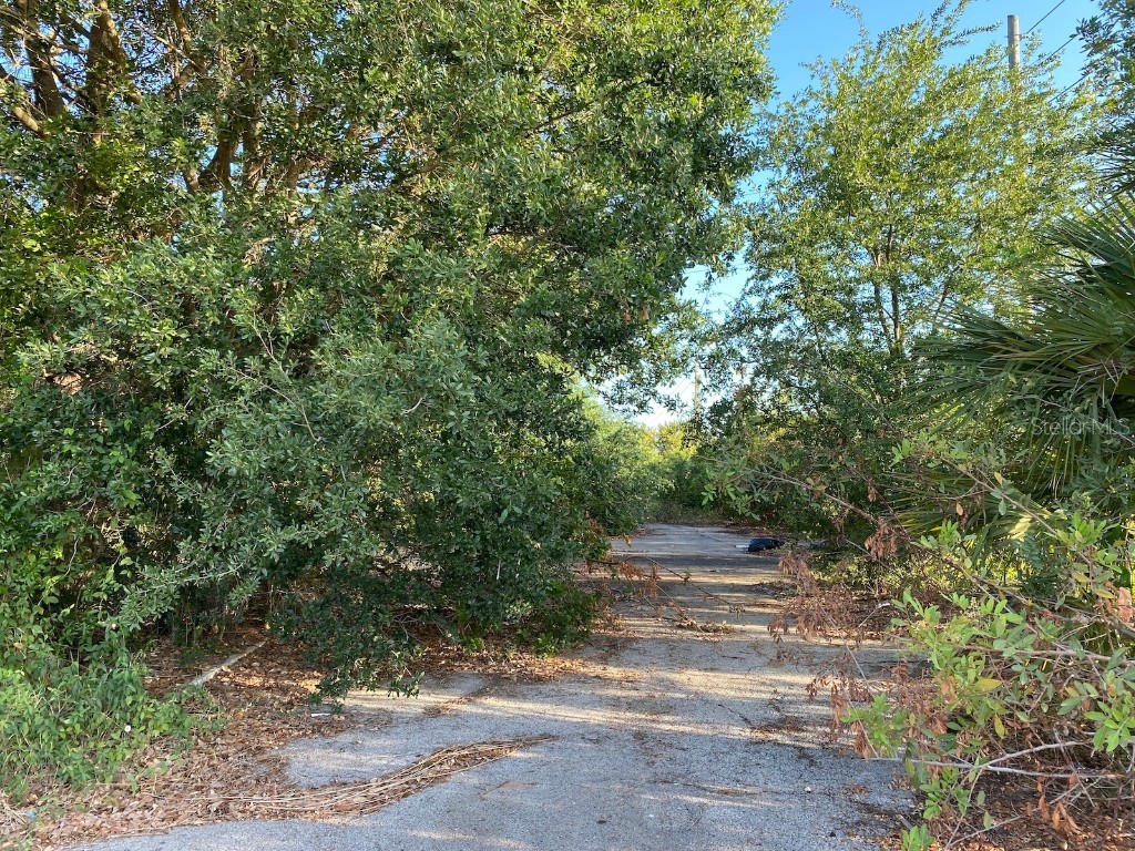 1403 Us Highway 27 Clermont FL 34714 C7474771 image12