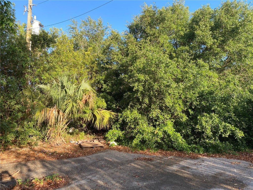 1403 Us Highway 27 Clermont FL 34714 C7474771 image13