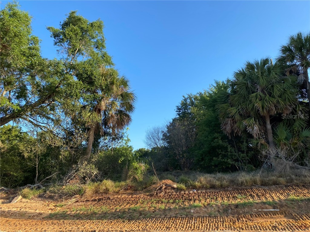 1403 Us Highway 27 Clermont FL 34714 C7474771 image17