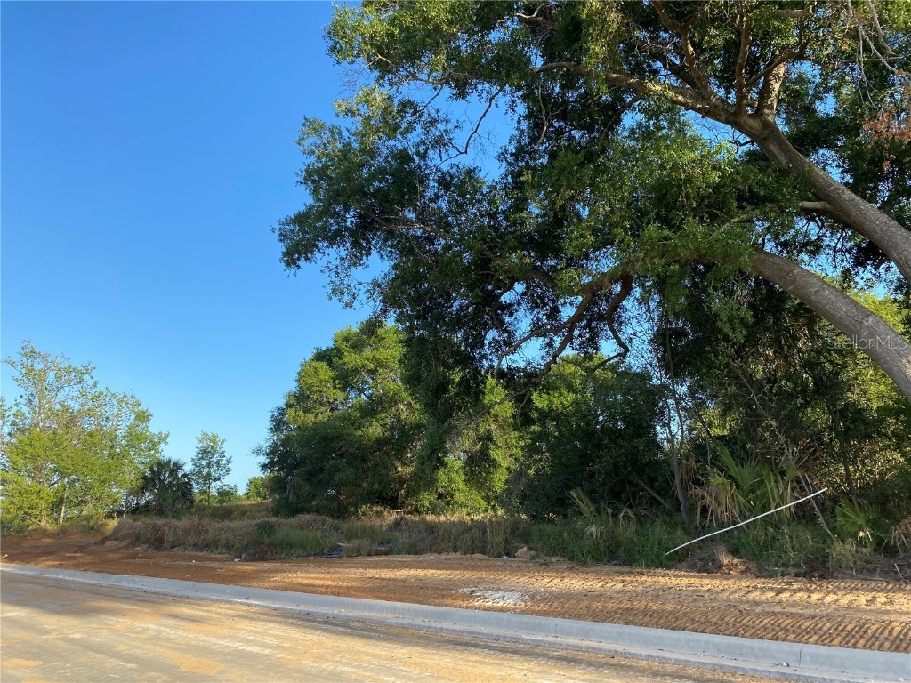 1403 Us Highway 27 Clermont FL 34714 C7474771 image18