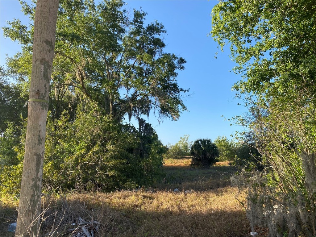 1403 Us Highway 27 Clermont FL 34714 C7474771 image22