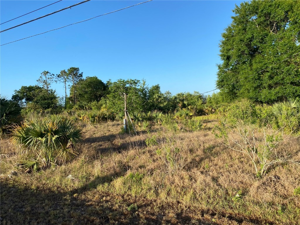 1403 Us Highway 27 Clermont FL 34714 C7474771 image4