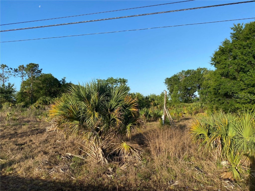 1403 Us Highway 27 Clermont FL 34714 C7474771 image5