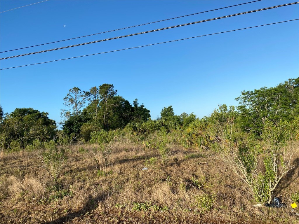 1403 Us Highway 27 Clermont FL 34714 C7474771 image6