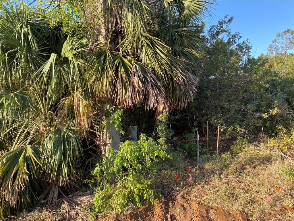 1403 Us Highway 27 Clermont FL 34714 C7474771 image8