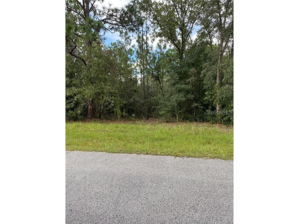 1403 W Mineral Court Hernando FL 34442 FC294474 image1