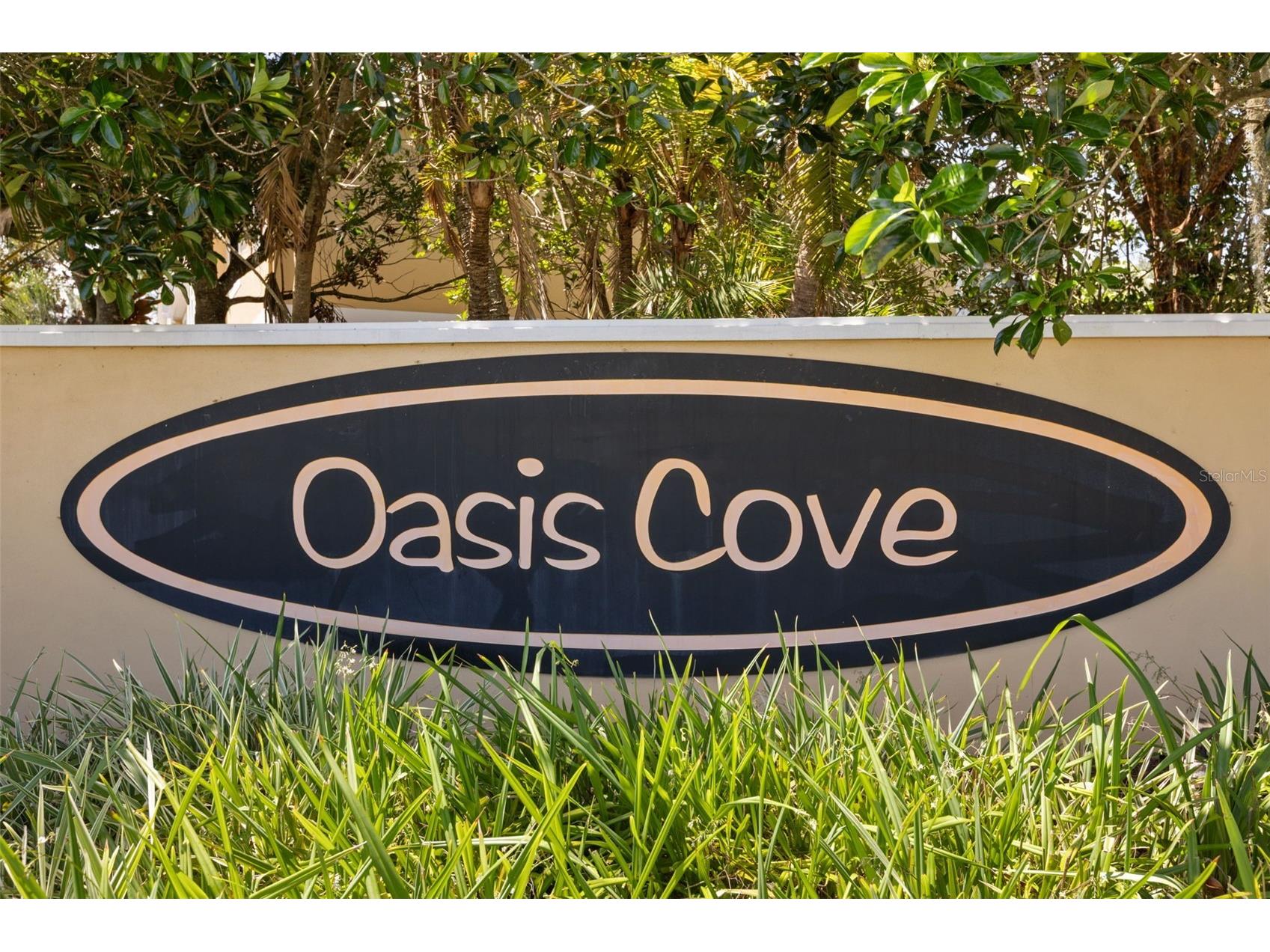 14030 Sparkling Cove Lane #603 Windermere FL 34786 O6424774 image32