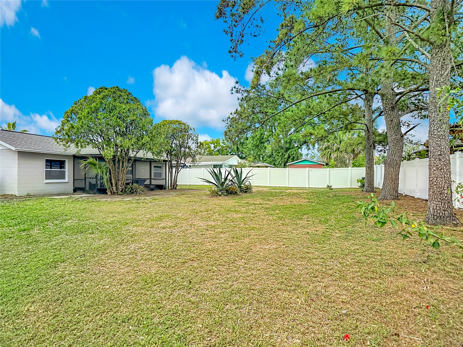 14031 Arbor Knoll Circle Tampa FL 33625 TB8495355 image27