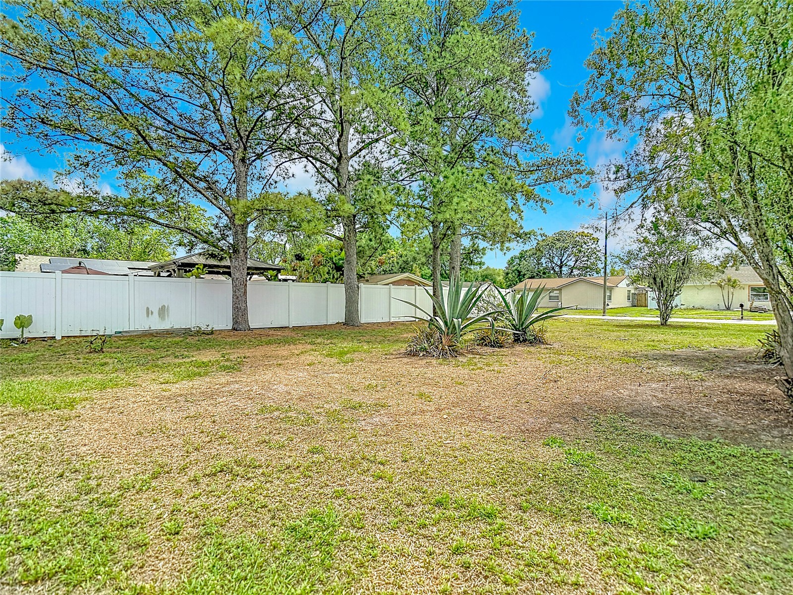 14031 Arbor Knoll Circle Tampa FL 33625 TB8495355 image28