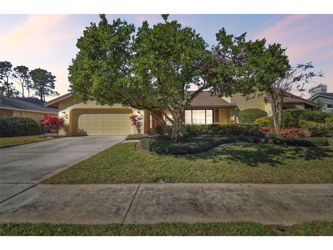 14031 Shady Shores Drive Tampa FL 33613 TB8342188 image1