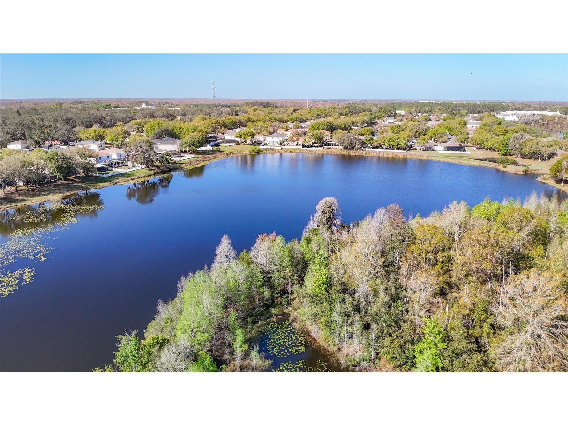 14034 Noble Park Drive Odessa FL 33556 TB8485239 image36