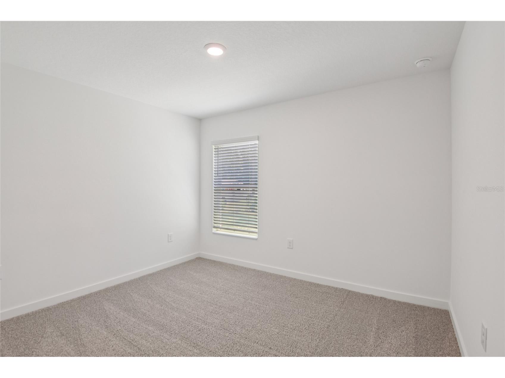14034 Ricebird Avenue Weeki Wachee FL 34614 TB8518368 image8