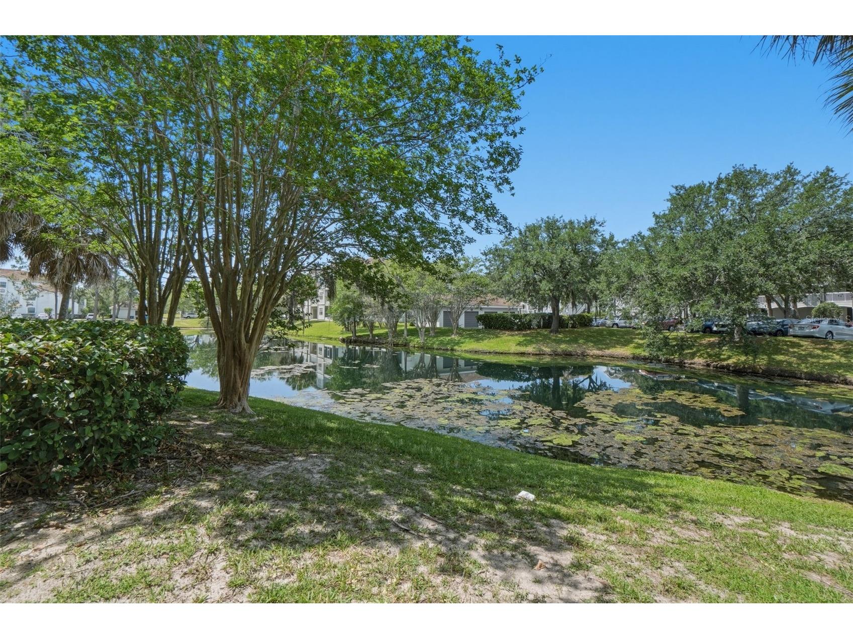 14036 Fairway Island Drive #1515 Orlando FL 32837 O6403462 image27